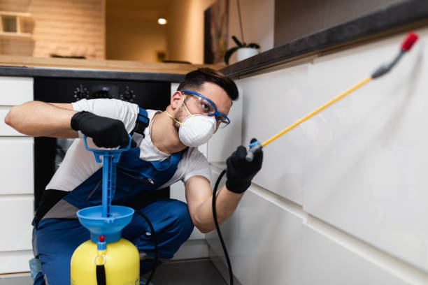 Best Cockroach Control Services  in Bloomfield, IA