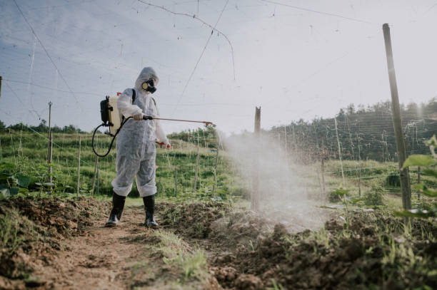 Best Local Pest Control Services  in Bloomfield, IA