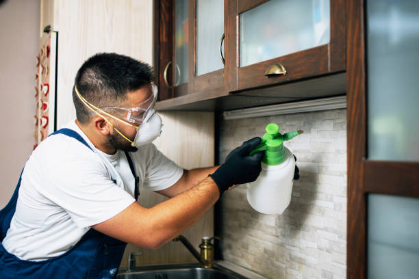 Best Flea Control Services  in Bloomfield, IA