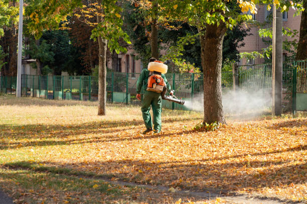 Wildlife Control Services in Bloomfield, IA