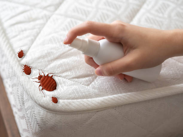 Best Pest Control Treatment  in Bloomfield, IA