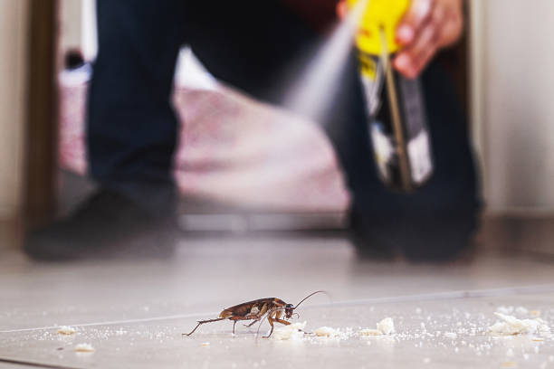 Best Exterminator Services  in Bloomfield, IA
