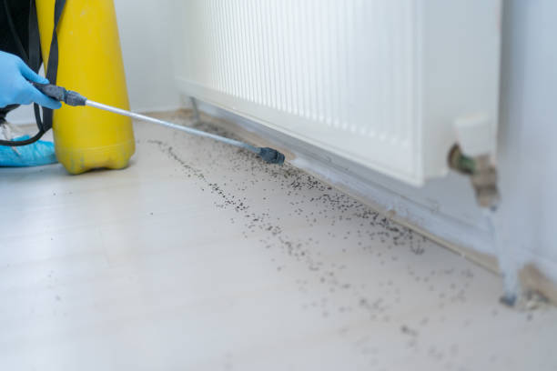 Best Commercial Pest Control Services  in Bloomfield, IA